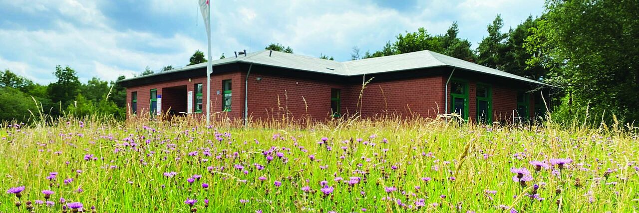 rkavip homepage 2023